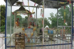 image006
