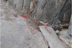 image011