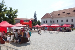 p6131865