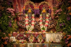 29-anniversary-sri-advaita_7.2.2022-14