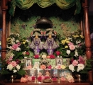 Daršan 22-30.06.2021