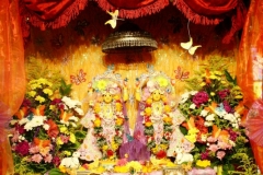 019