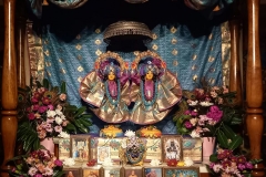 darsan-29.01.2022-01