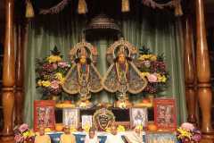 darsan-31.01.2024-01