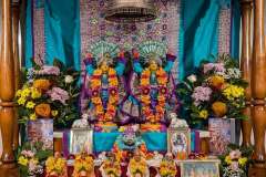 darsan-15.02.2026-01