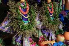 darsan-04.05.2024-01