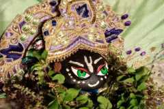 darsan-04.05.2024-02