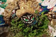 darsan-12.05.2024-02