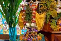 darsan-28.08.2024-02