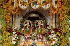 darsan-28.08.2024-03