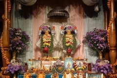 darsan-10.10.2022-01