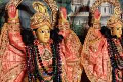 darsan-31.10.2024-01