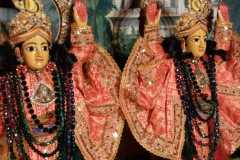 darsan-31.10.2024-02