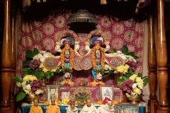 darsan-05.11.2022-01