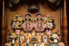 darsan-08.11.2022-01