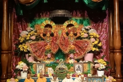 darsan-09.11.2022-01