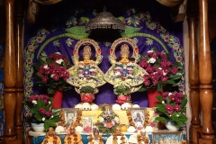 darsan-13.11.2022-01