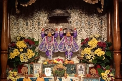 darsan-28.11.2022-01