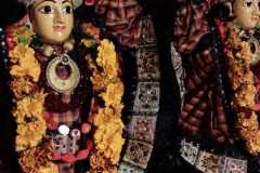 darsan-01.11.2024-01