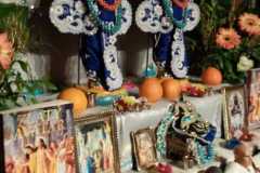 darsan-21.12.2024-01