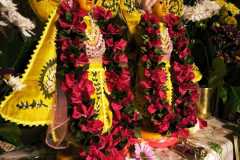 darsan-22.12.2024-01