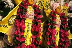 darsan-22.12.2024-02