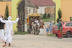 081-PJ2019