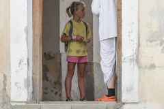 113-PJ2019