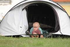 119-PJ2019