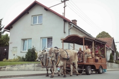029-pochod-stoky_25-7-2020