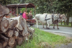 051-pochod-stoky_25-7-2020