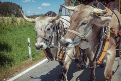 070-pochod-stoky_25-7-2020