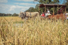 075-pochod-stoky_25-7-2020