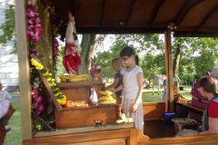 KODAK Digital Still Camera