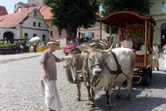 KODAK Digital Still Camera