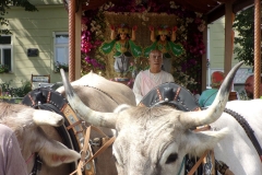 KODAK Digital Still Camera