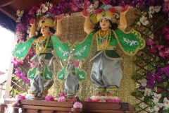 KODAK Digital Still Camera