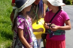 KODAK Digital Still Camera