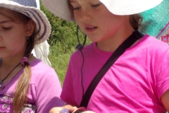 KODAK Digital Still Camera