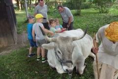 KODAK Digital Still Camera