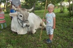 KODAK Digital Still Camera