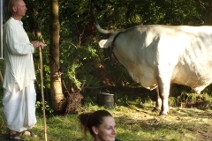 KODAK Digital Still Camera