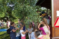 KODAK Digital Still Camera