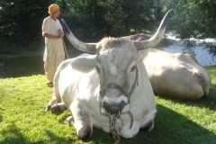 KODAK Digital Still Camera