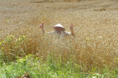 KODAK Digital Still Camera