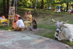 KODAK Digital Still Camera