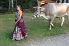 KODAK Digital Still Camera