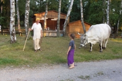 KODAK Digital Still Camera