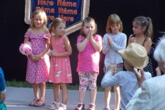 KODAK Digital Still Camera