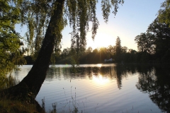 041-tabor-n-h-2019